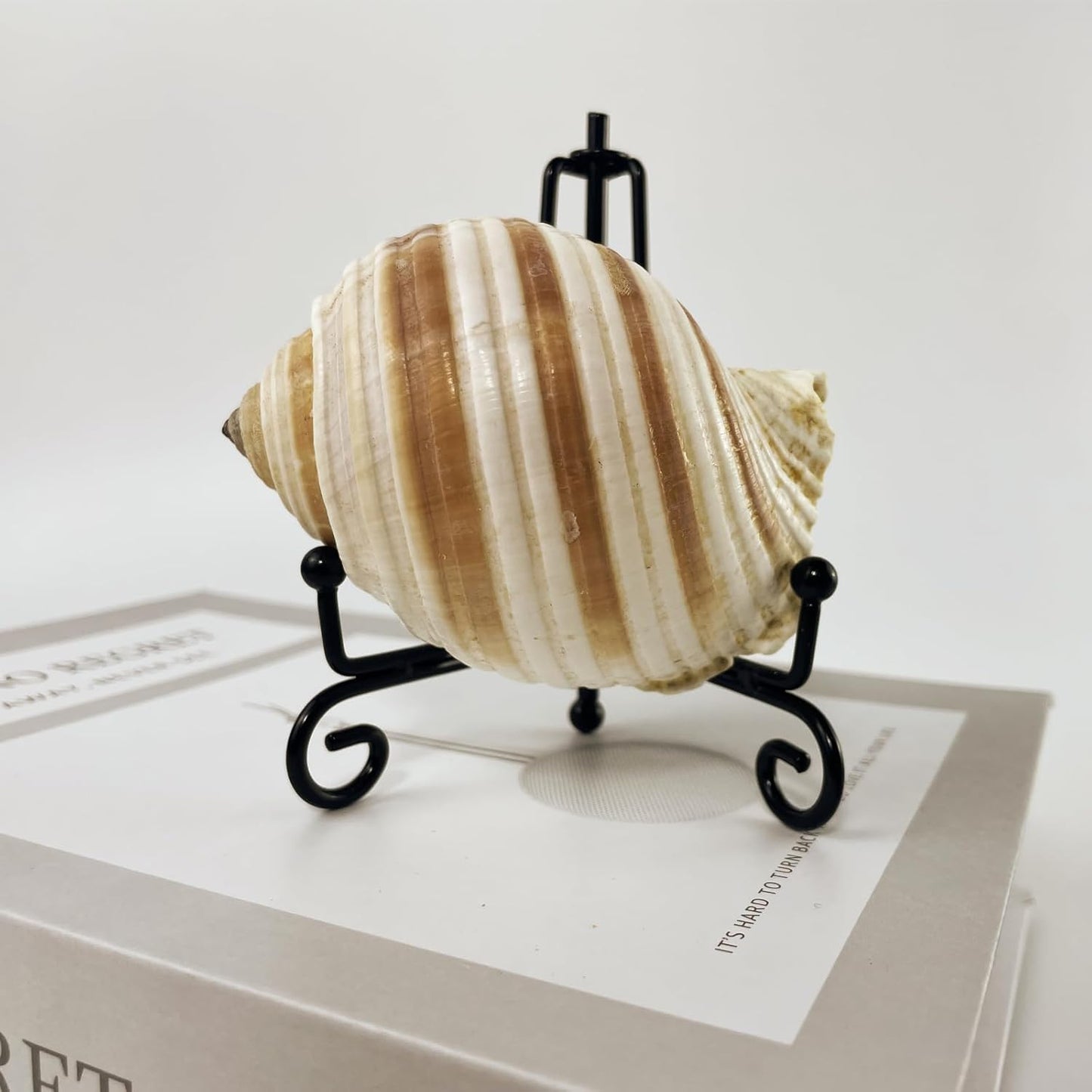 6PCS Premium Black Iron Plate Stands for Display 4 Inch, Decorative Solid Metal Plate Holders for Displaying, Mini Easel, Frame, Book, Card, Plaque, Bowl, Picture Stands for Display