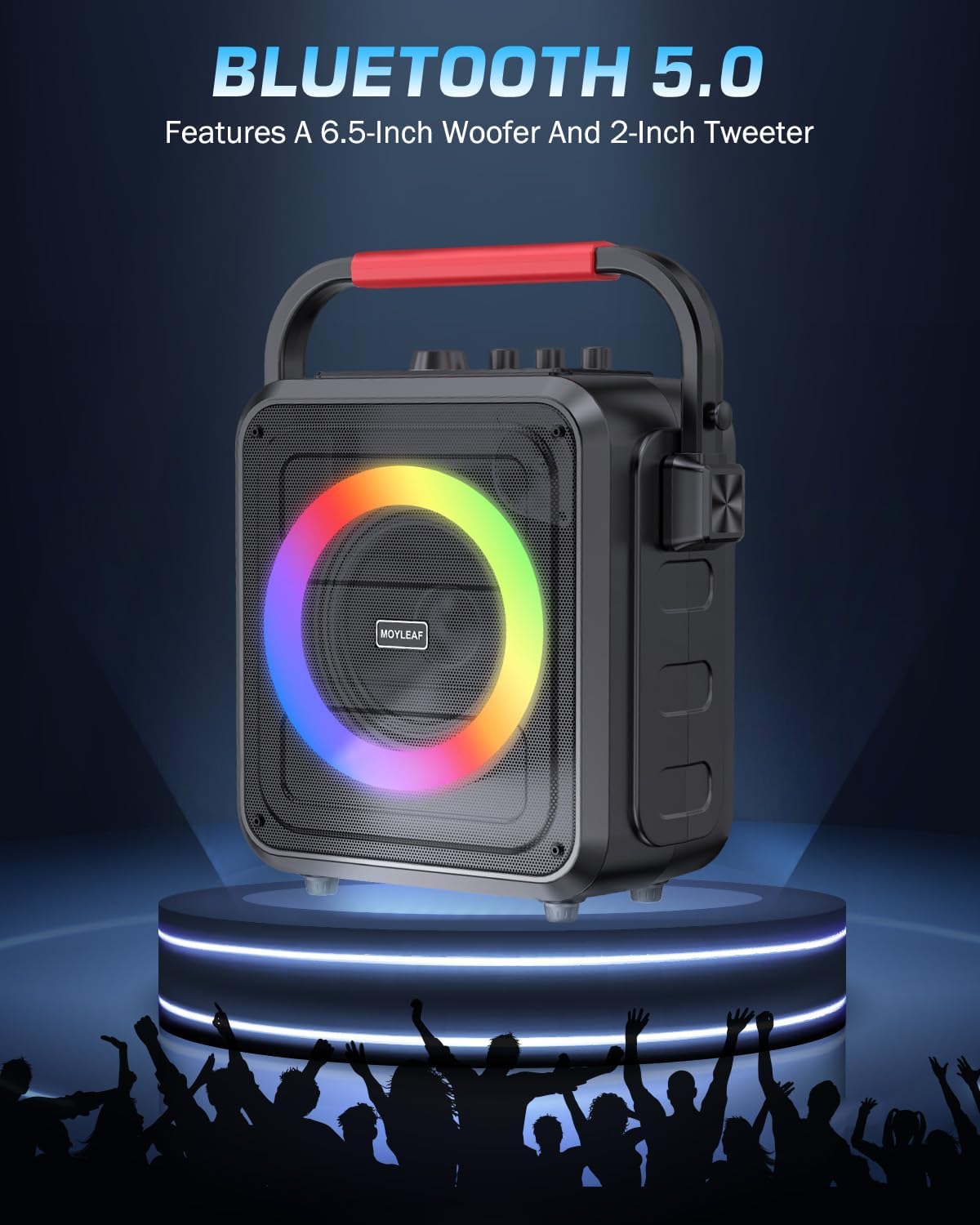 Karaoke Machine,Karaoke Machine for Adults & Kids,Portable Karaoke Speaker with 2 Wireless Microphones,PA System Supports Live/TF Card/USB/AUX//REC/TWS