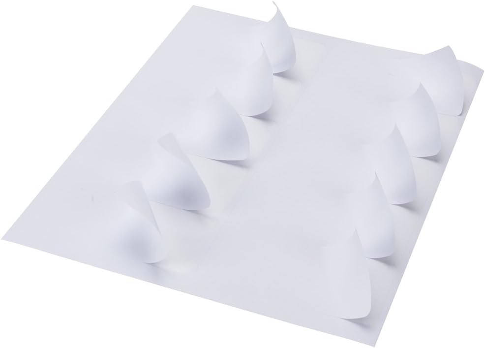 10 Up - 500 Sheets Shipping Address Labels - 2" x 4" - Total 5000 Labels