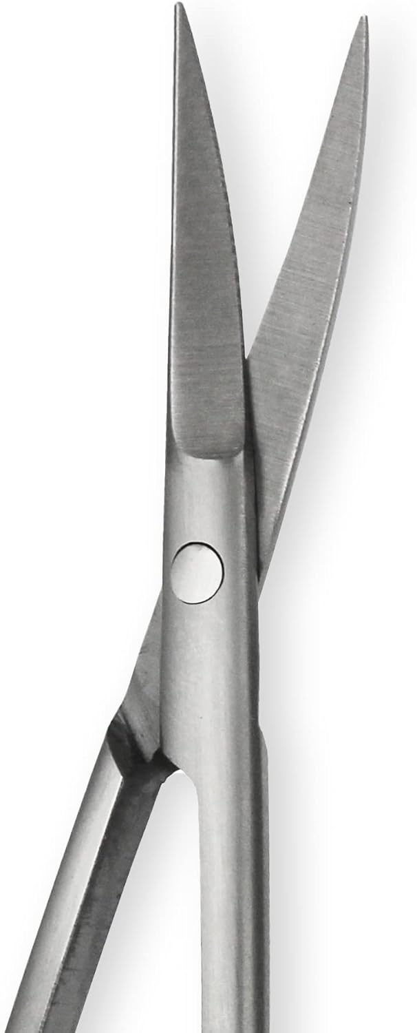 Amazon Basics Beauty Scissors, Stainless Steel, Silver