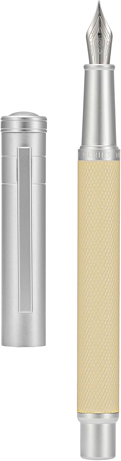 Hongdian Silver Birch Forest Aluminum Fountain Pen Medium Nib with Metal Box Writing Pen Set'1 Count (Pack of 1)