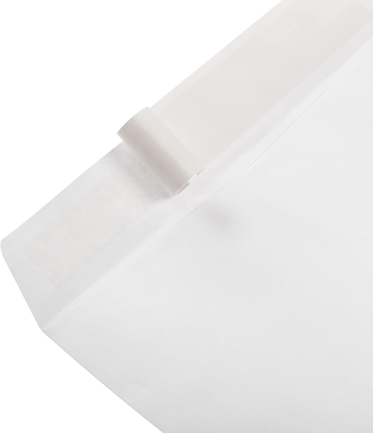 Amazon Basics Catalog Mailing Envelopes, Peel and Seal, 9x12 Inch, White, 250-Pack
