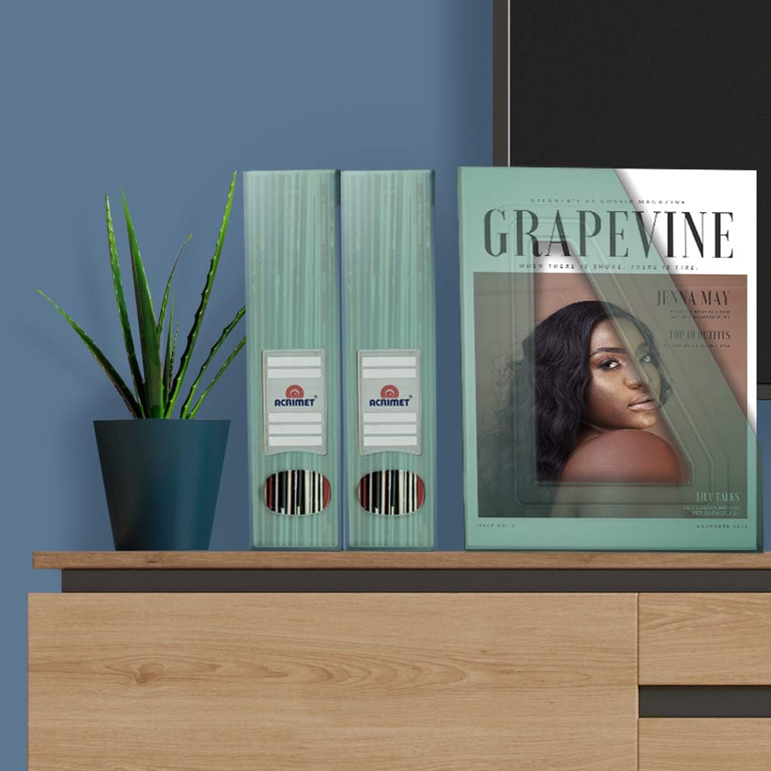 Acrimet Magazine File Holder, Durable Rack, Space-Saving Organizer (Plastic) (Clear Green Color) (2 pack)