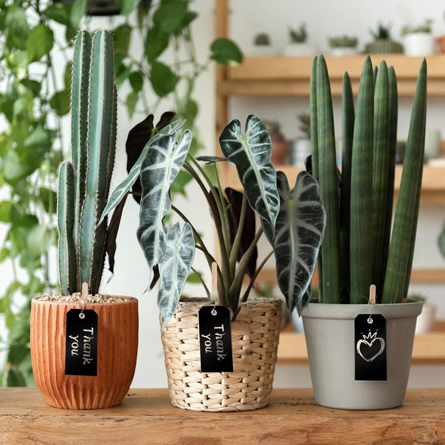 1000 Pieces Plastic Shipping Tags with Wire Labeling Tags Waterproof Hang Tags with Reinforcement Hole Writable Luggage tag Loops for Equipment Inventory Parts Garage (Black, 4 3/4" x 2 3/8")