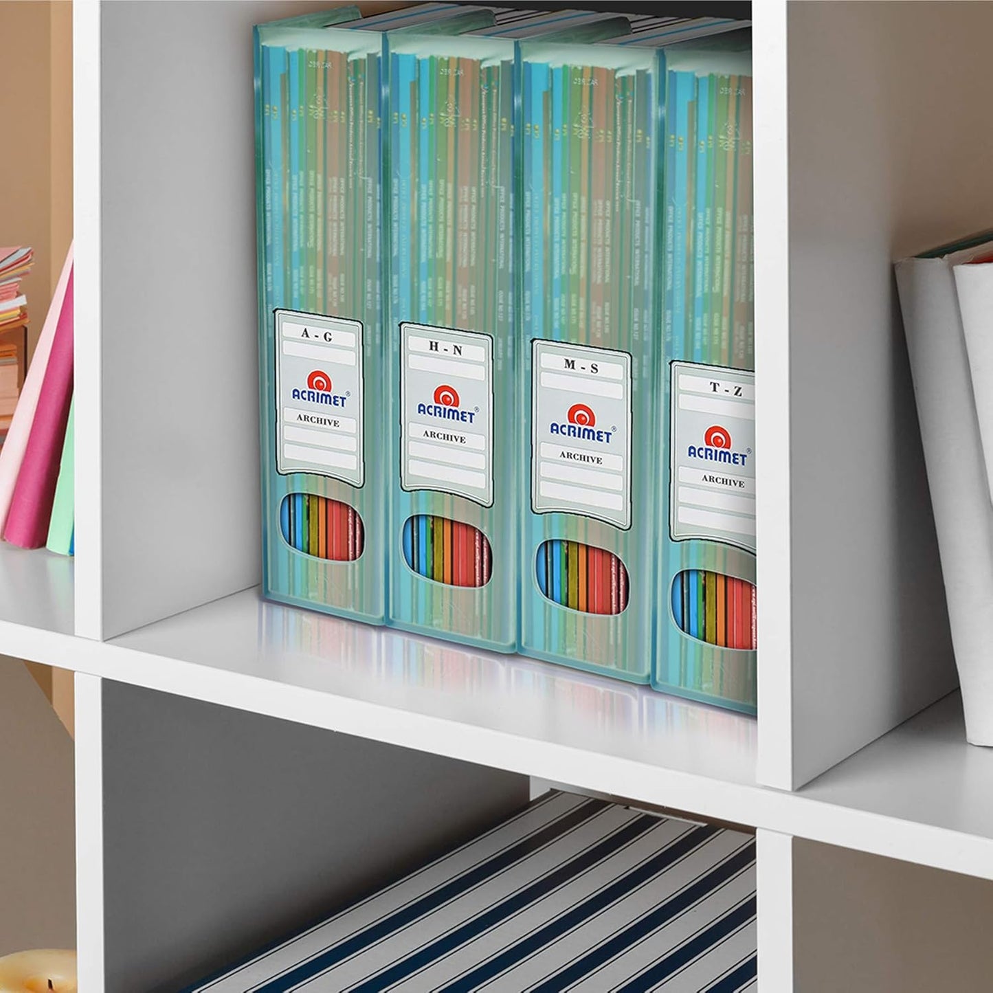 Acrimet Magazine File Holder, Durable Rack, Space-Saving Organizer (Plastic) (Clear Green Color) (2 pack)