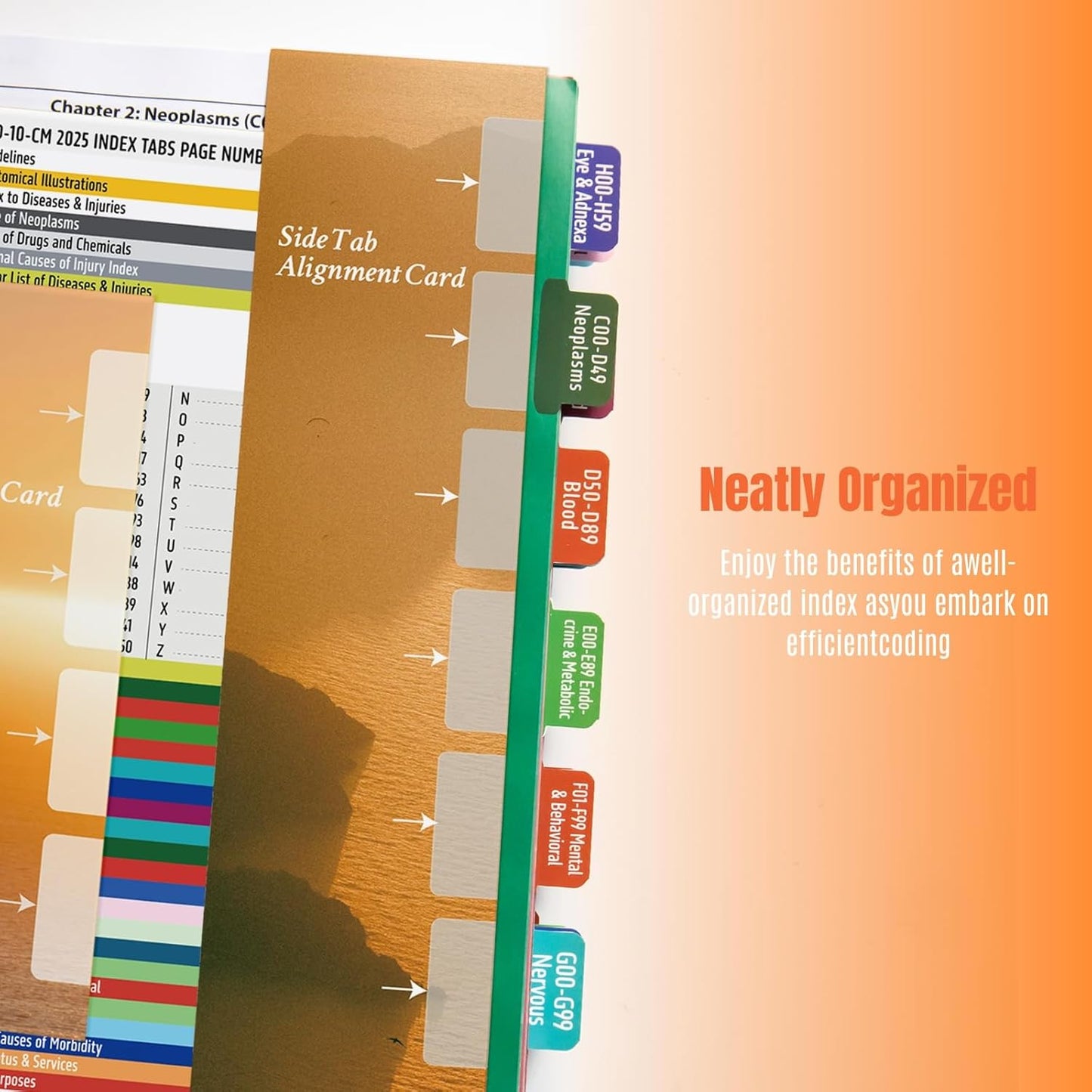 Index Tabs for ICD-10-CM 2025 Expert (AAPC Version) - Navigate with Precision in Your Code Book