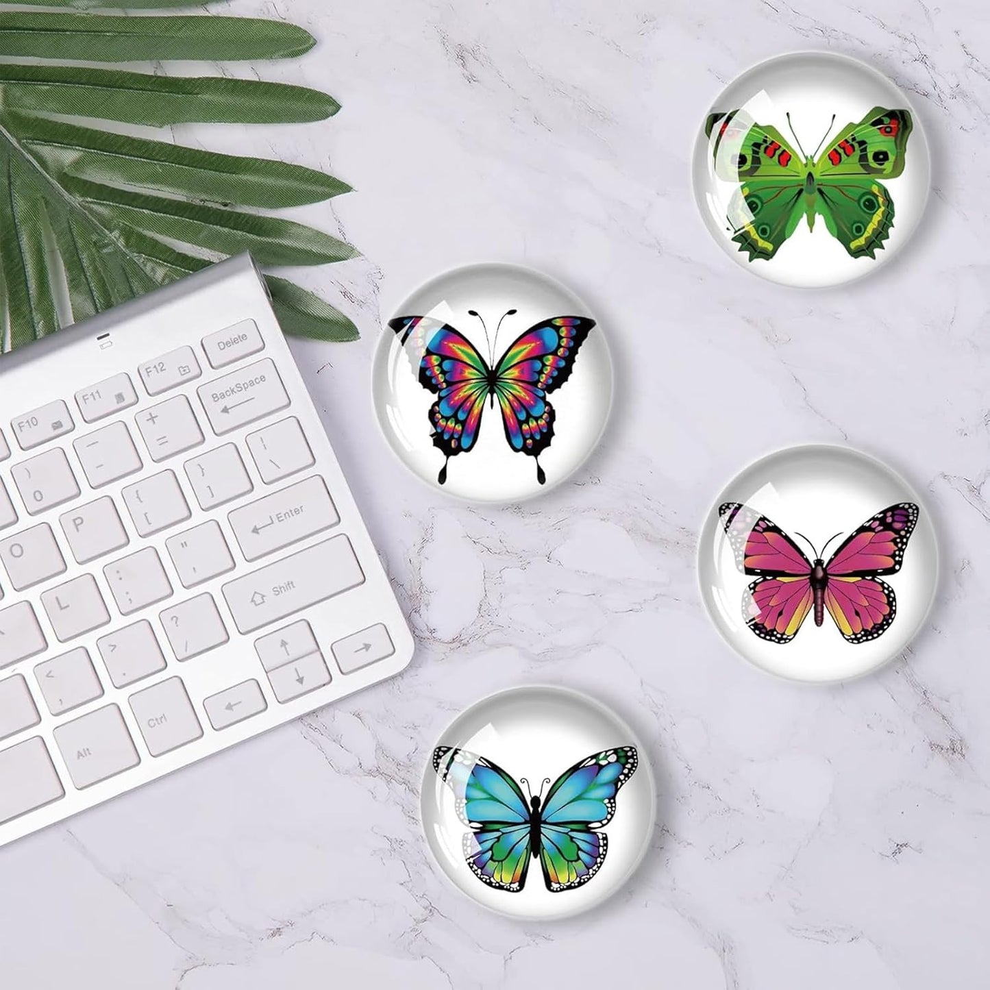 24Pcs Butterfly Push pins，Decorative Push Pins,Cute Push Pins,Thumb Tacks for Bulletin Board Office Organization or Home(24-Butterfly)