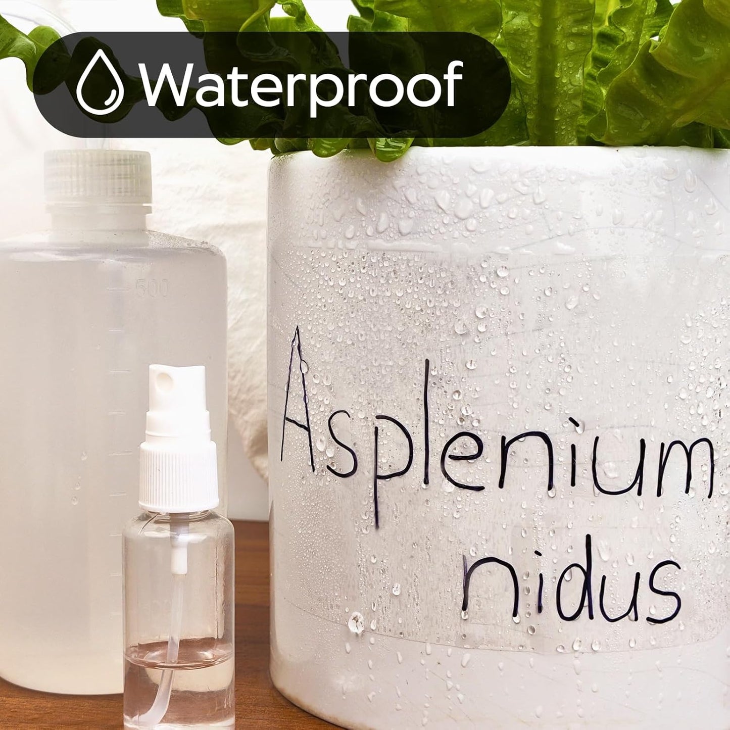 100Pcs Clear Large Labels for Storage Bins,6x4 Inch Removable Labels,Large Labels for Blank Box,Strong Adhesive Tear Resistant No Residue Blank Labels (Trasparent)