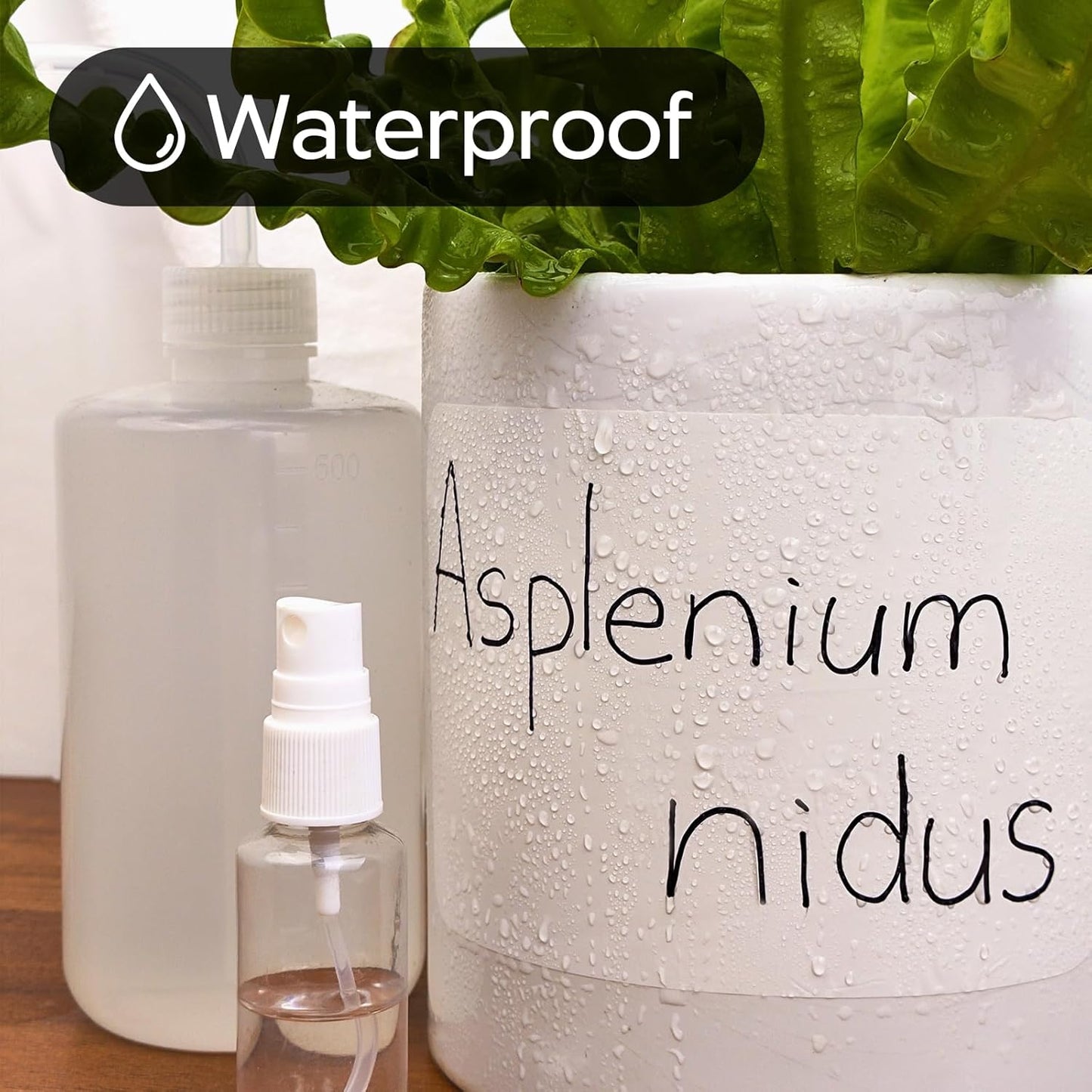 100Pcs Large White Labels for Storage Bins,6x4 Inch Removable Labels,Large Labels for Blank Box,Strong Adhesive Tear Resistant No Residue Blank Labels (White)