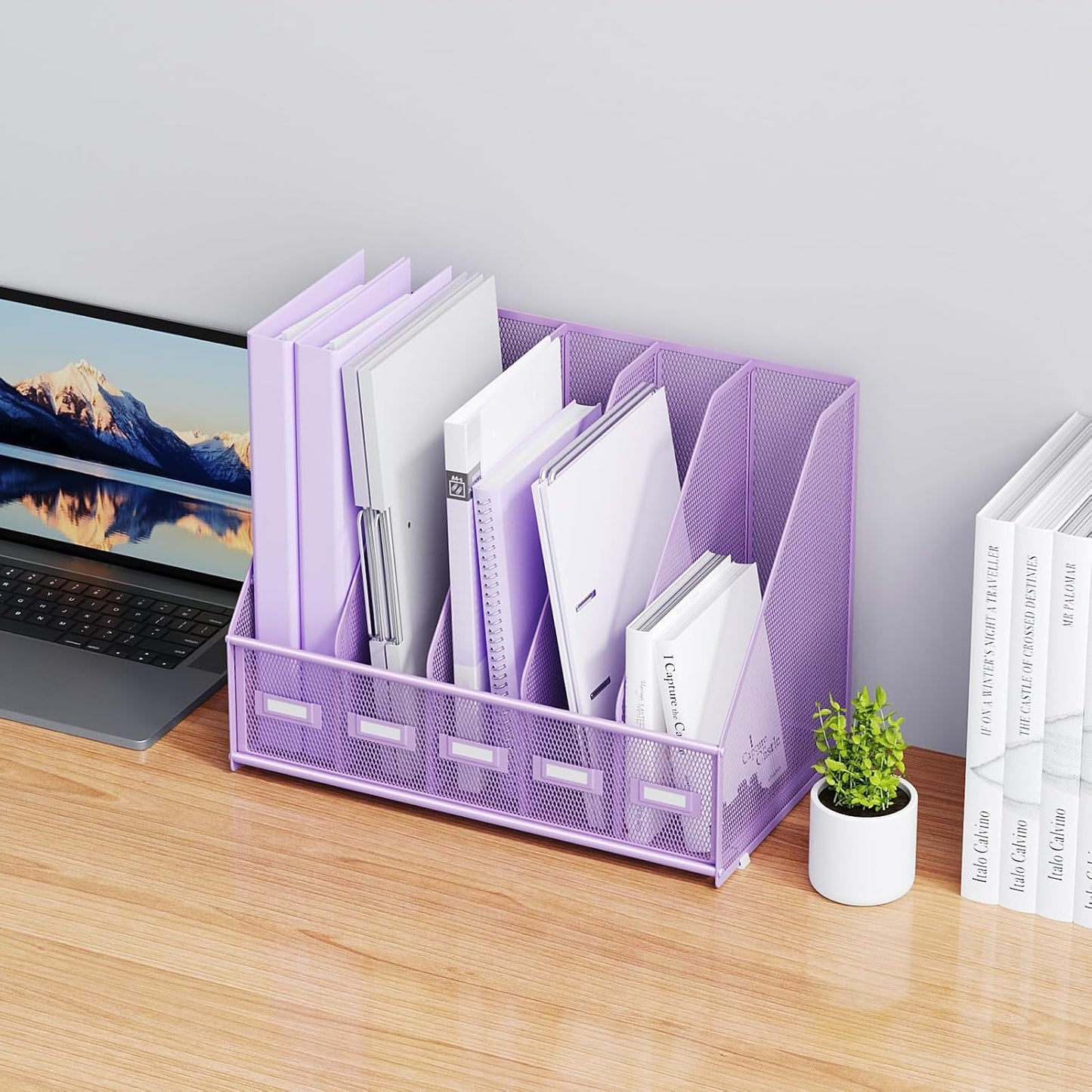 Marbrasse Desk File Organizer with 5 Vertical Compartments Mesh Magazine File Holder for Office, Home, School