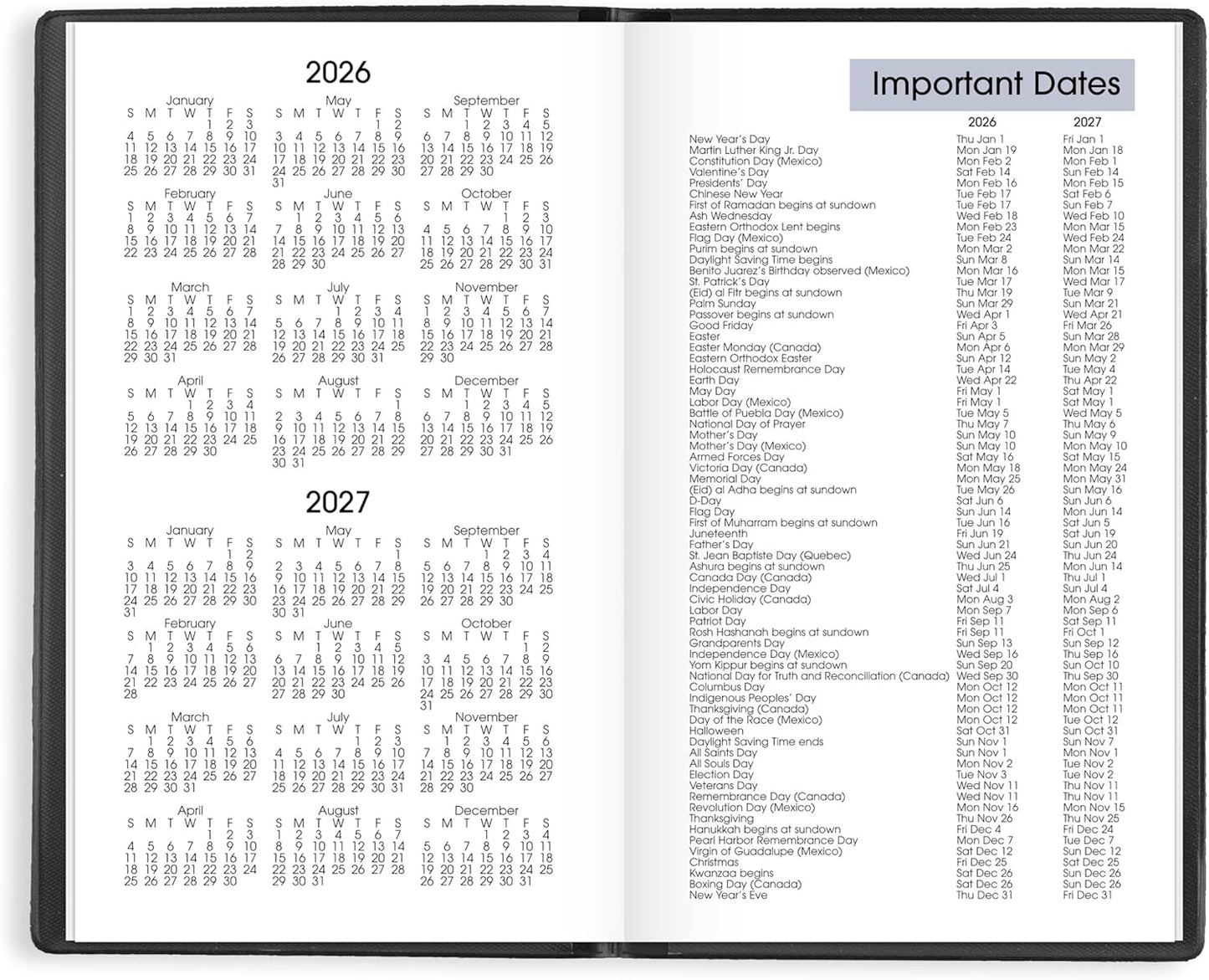 AT-A-GLANCE 2026 Planner, Weekly, 3-1/2" x 6", Pocket Size, Open Scheduling, DayMinder, Black (SK480026)