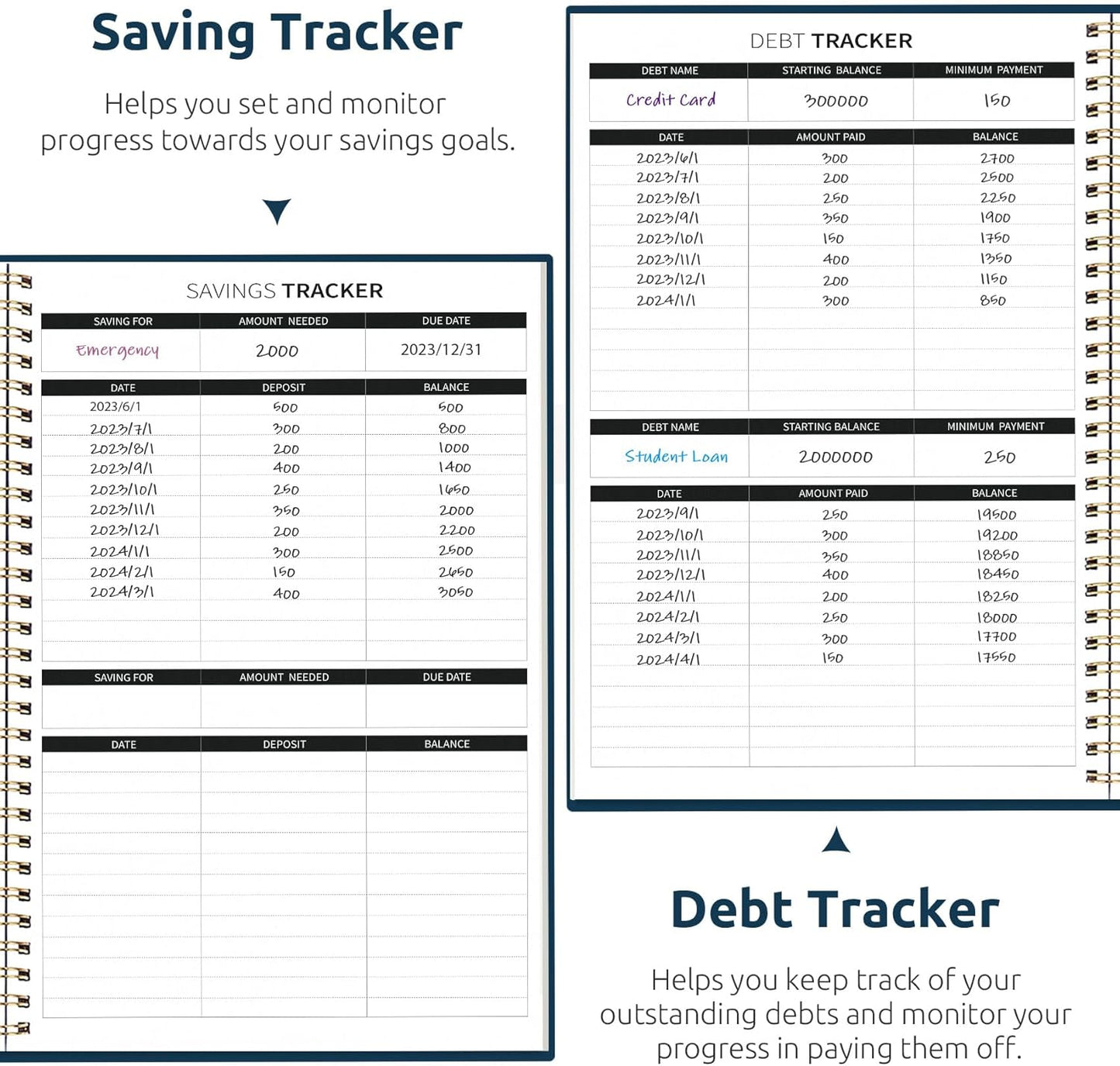 Aesthetic Budget Planner - Monthly Finance Planner with Expense Tracker Notebook, Undated Bill Organizer to Manage Your Finances, Account Book with Colorful Pattern-Golden Flutter