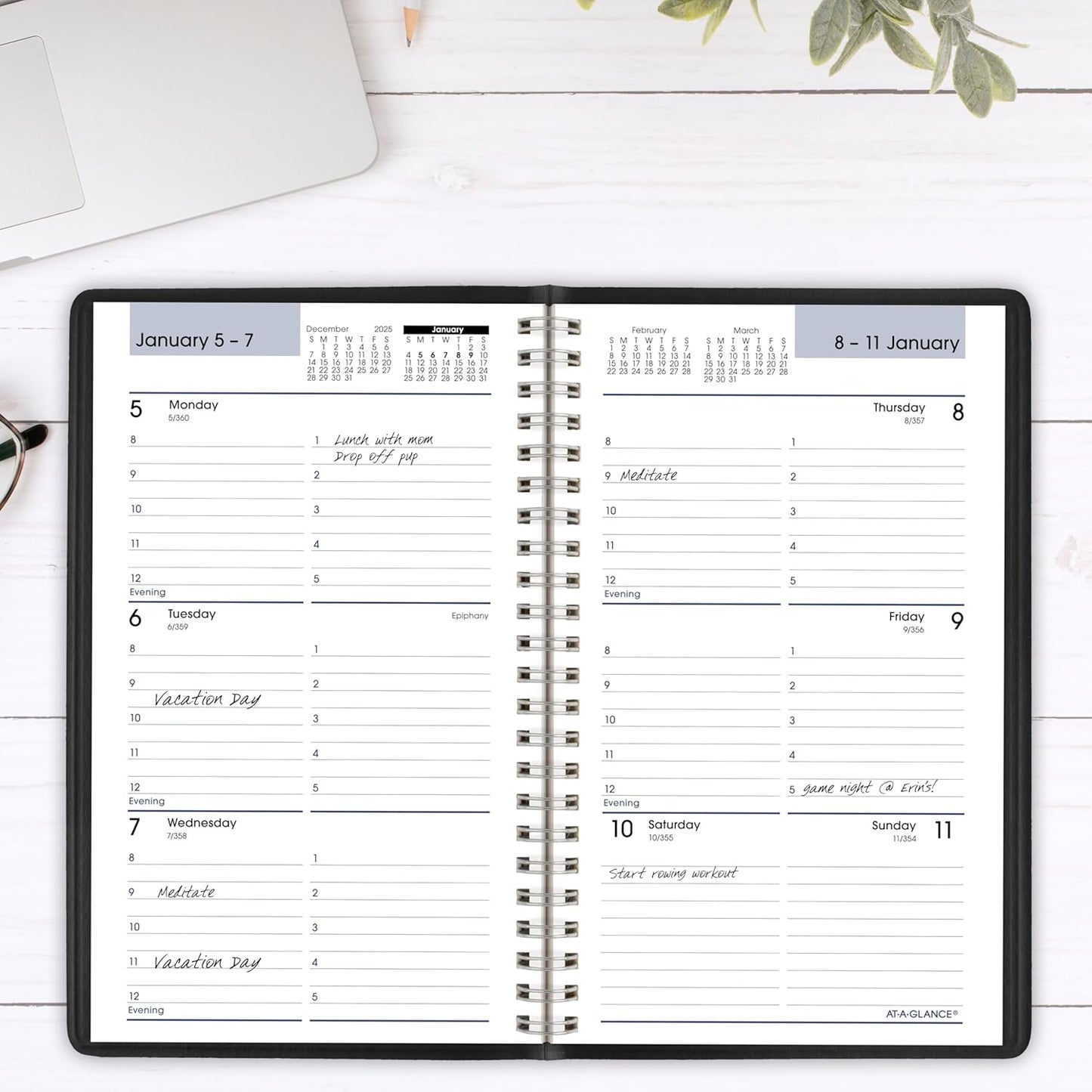 AT-A-GLANCE 2026 Appointment Book Planner, Weekly, 5" x 8", Small, DayMinder, Black (G2000026)