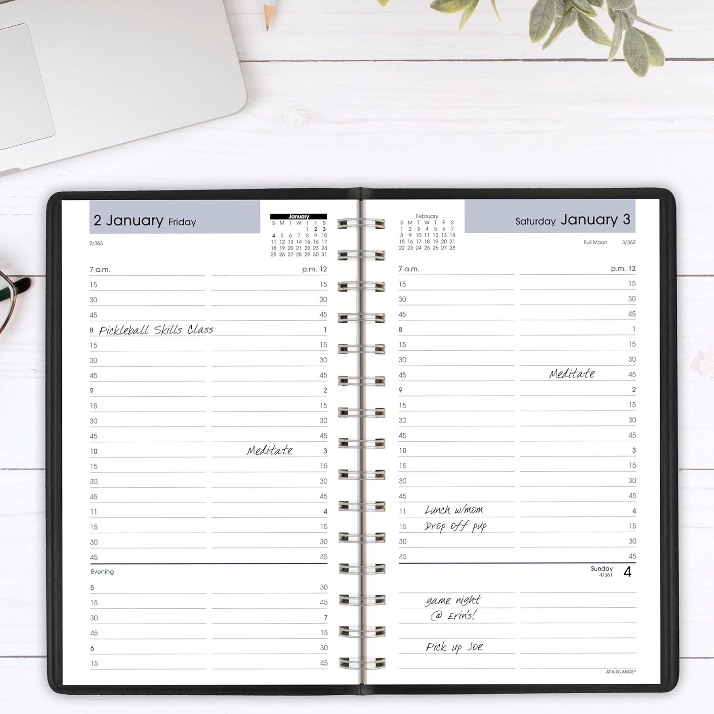 AT-A-GLANCE 2026 Appointment Book Planner, Daily, 5" x 8", Small, Quarter-Hourly, DayMinder, Black (G1000026)