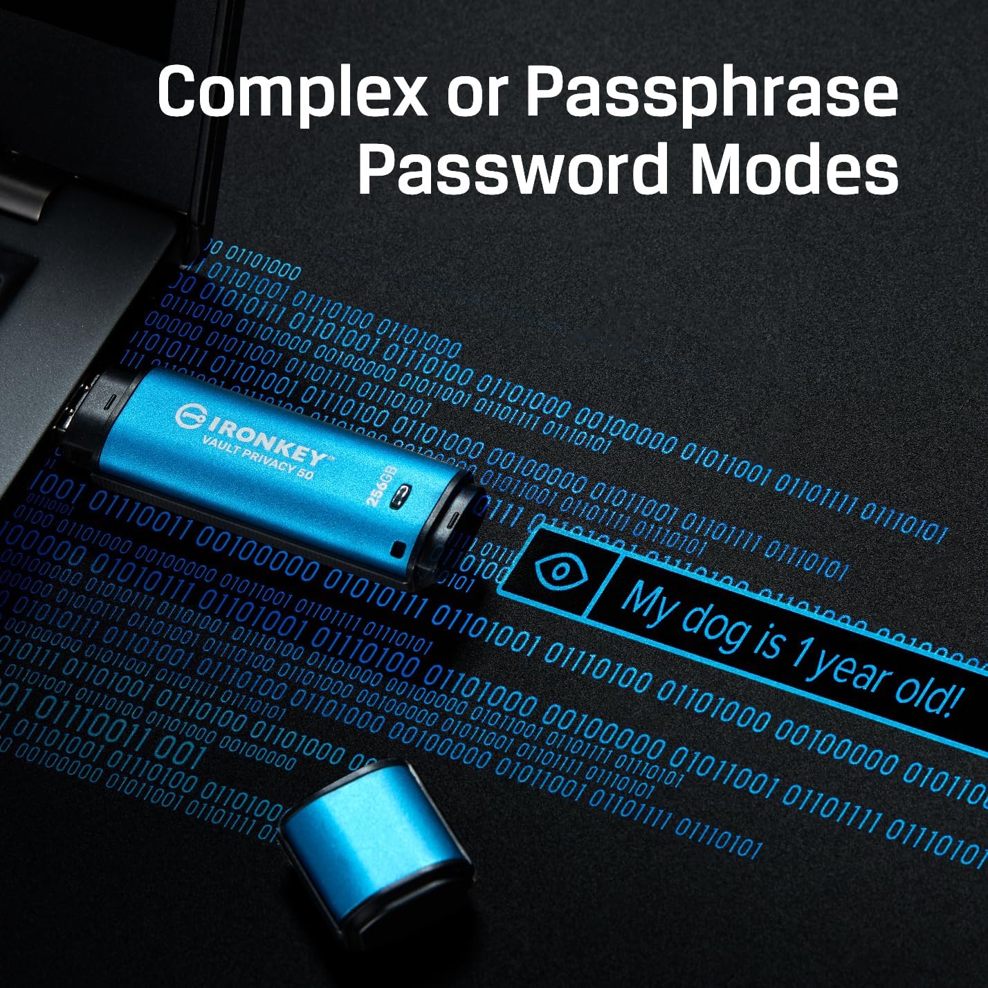 Kingston Ironkey Vault Privacy 50 USB-A 512GB Encrypted Flash Drive | FIPS 197 Certified | XTS-AES 256-bit | BadUSB and Brute Force Protection | Mult-Password Option | IKVP50/512GB