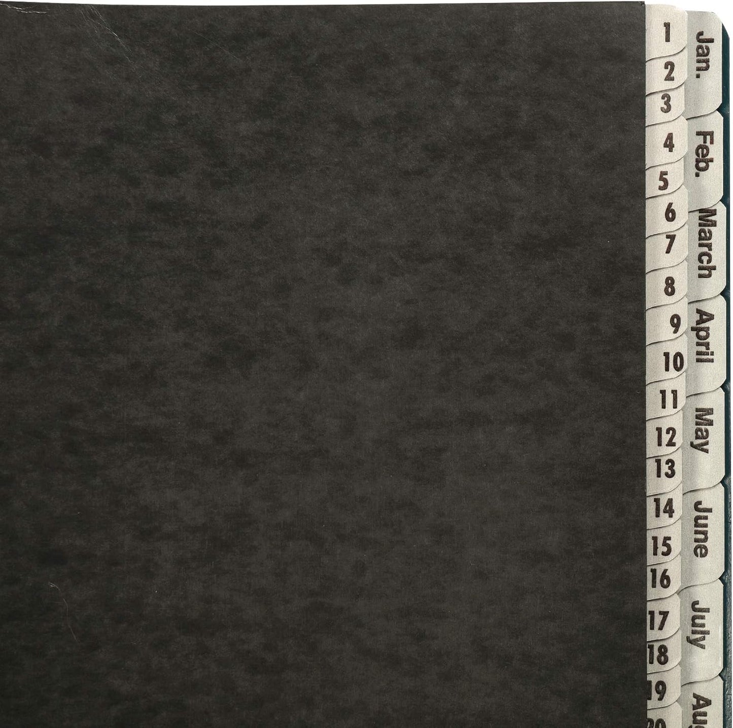 Amazon Basics Expanable Office File Sorter,Daily & Monthly File Organizer, Letter Size, Black