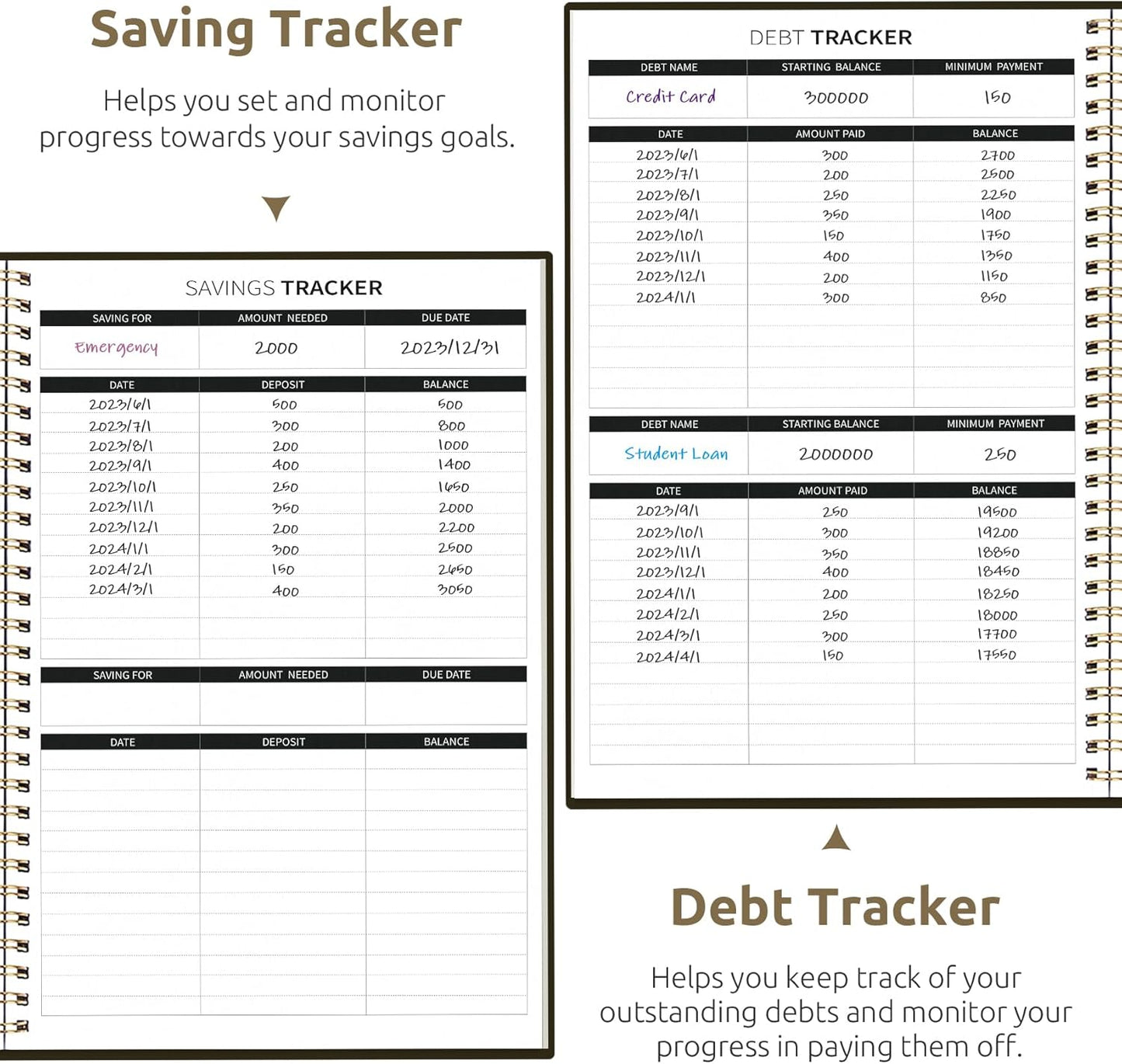 Aesthetic Budget Planner - Monthly Finance Planner with Expense Tracker, Undated Bill Organizer, Budget Notebook to Manage Your Finances, Account Budget Book with Colorful Pattern - Wild Rose